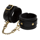 Bound to You Ankle Cuffs