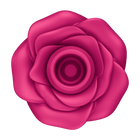 Pro 2 Classic Blossom