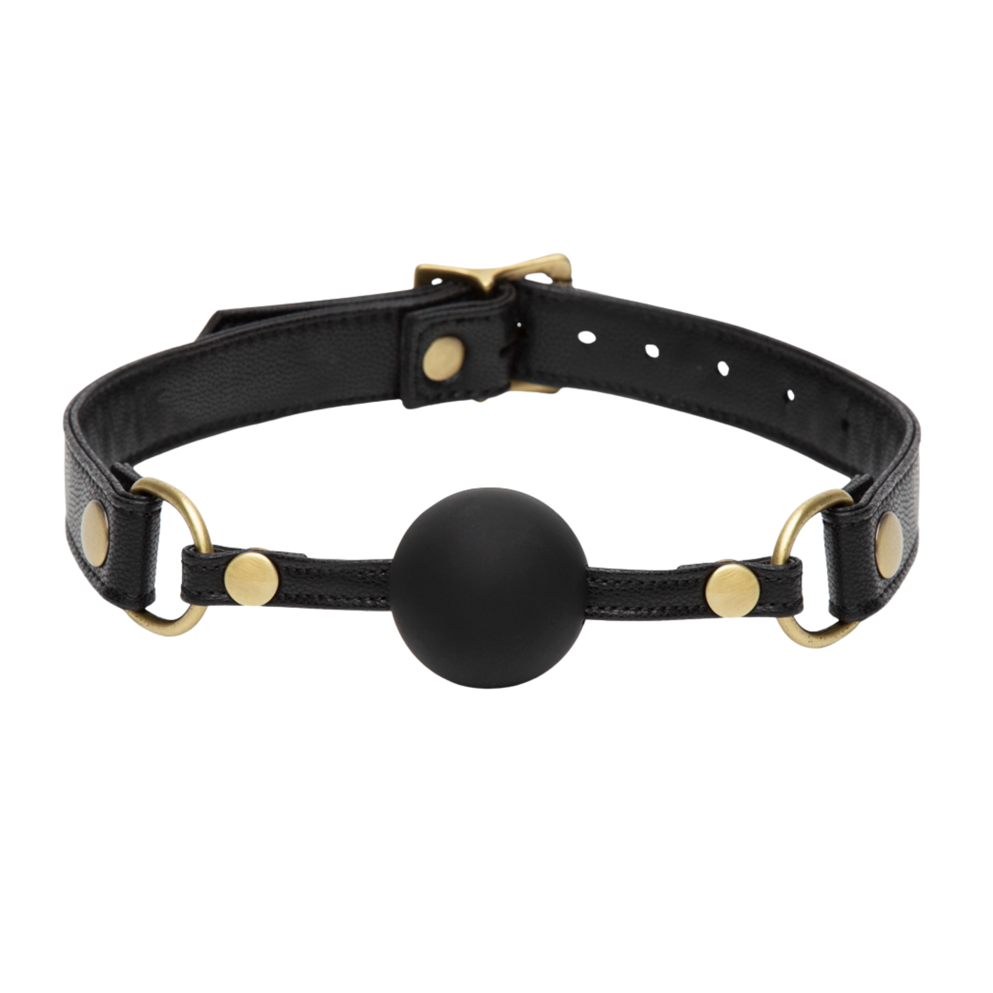 Bound to You Ball Gag